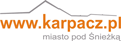 Kronika Sportu